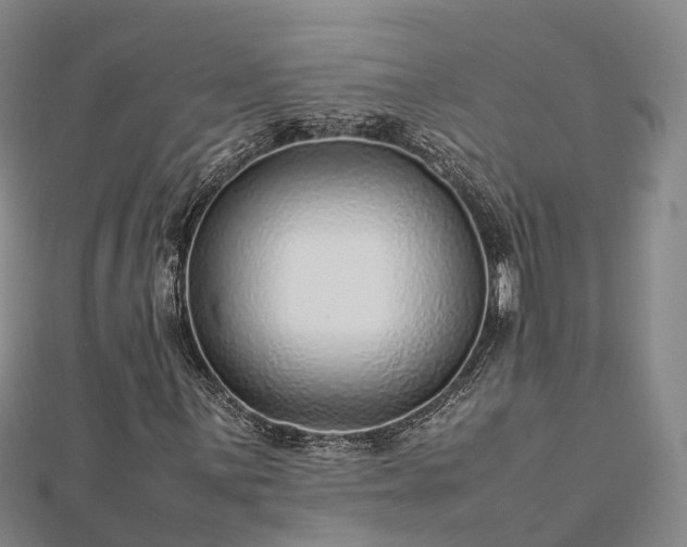 X0000113011059200909031309