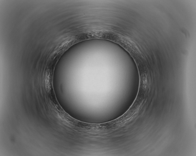 X0000113011060200909031309