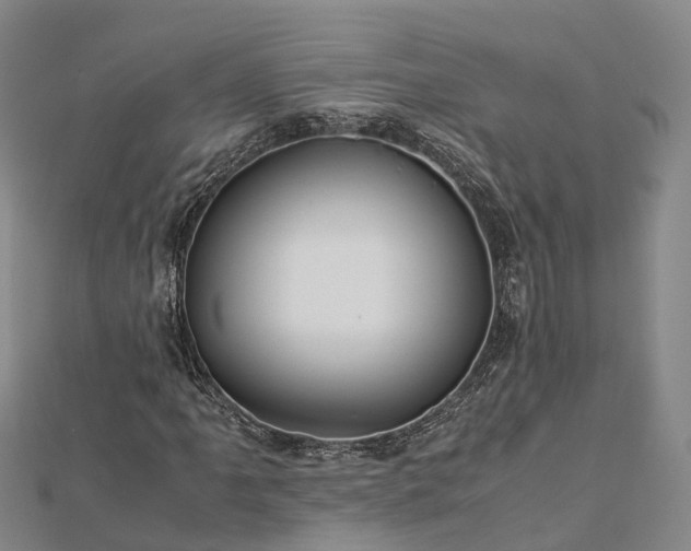 X0000113011061200909031309