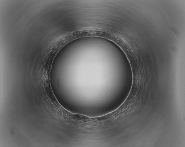 X0000113011062200909031309