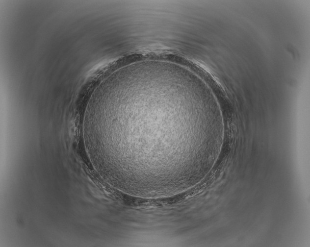 X0000113011063200909031309