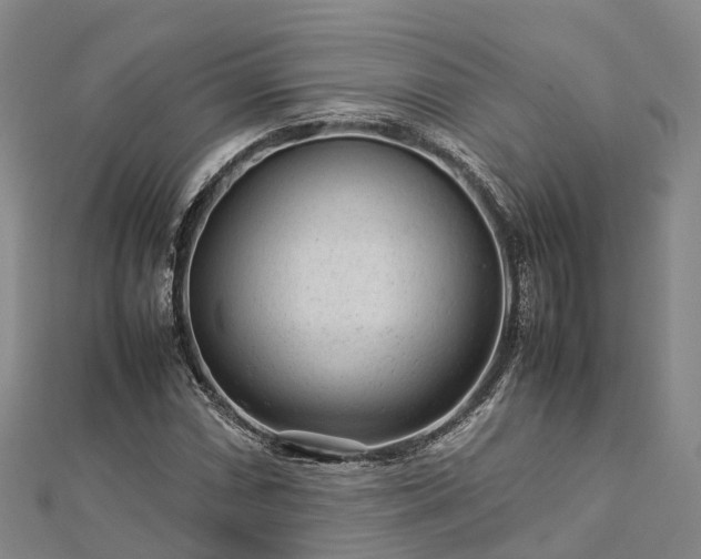 X0000113011066200909031309