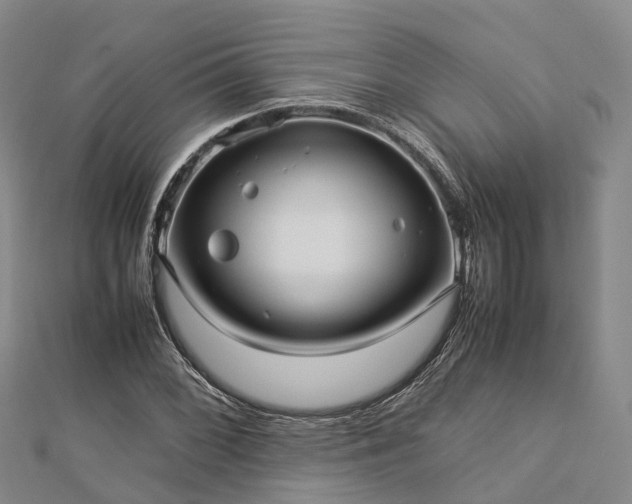 X0000113011068200909031309