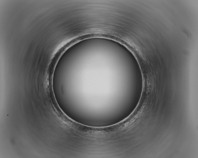 X0000113011070200909031309