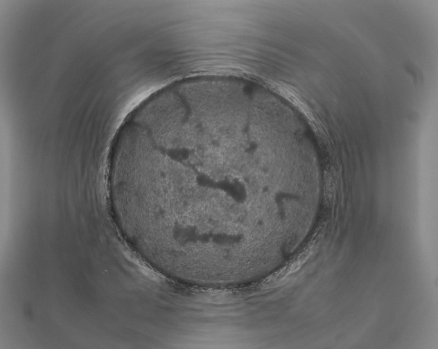 X0000113011071200909031309