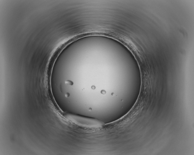 X0000113011072200909031309