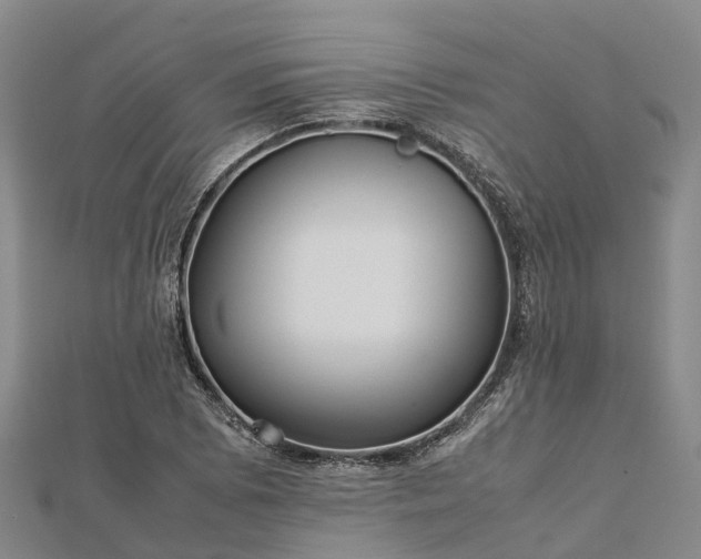 X0000113011073200909031309