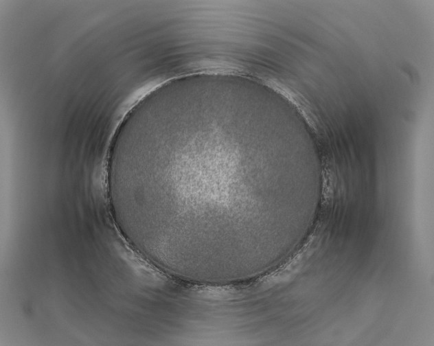 X0000113011074200909031309