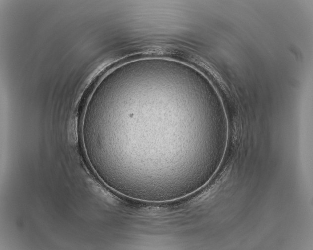 X0000113011075200909031309