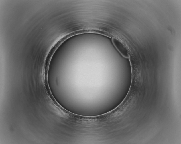 X0000113011076200909031309