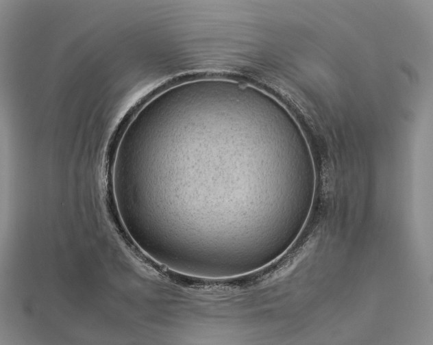 X0000113011077200909031309