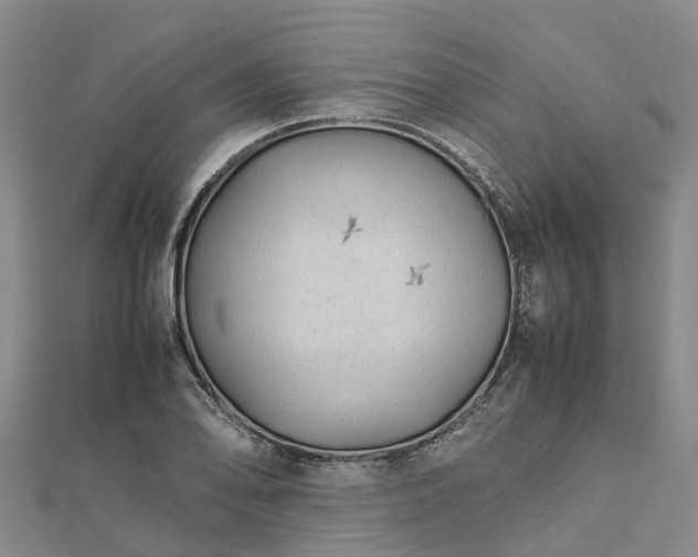 X0000113011078200909031309