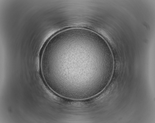 X0000113011079200909031309