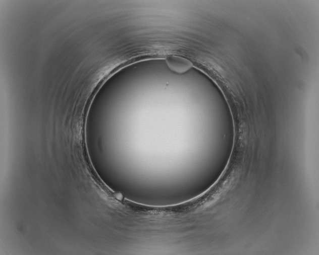 X0000113011081200909031309