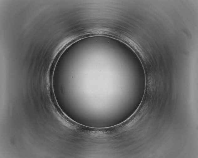 X0000113011082200909031309