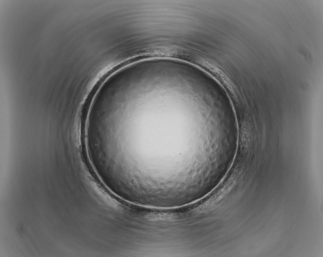 X0000113011083200909031309