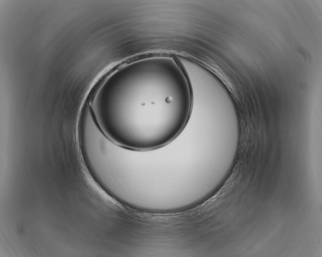 X0000113011084200909031309