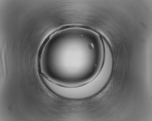 X0000113011085200909031309