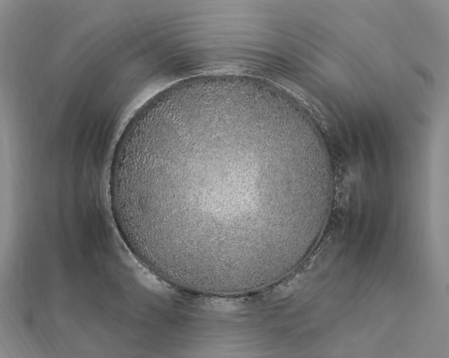 X0000113011086200909031309