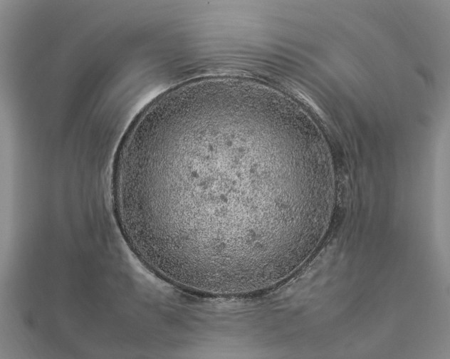 X0000113011087200909031309