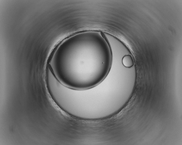 X0000113011088200909031309