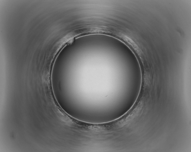 X0000113011089200909031309