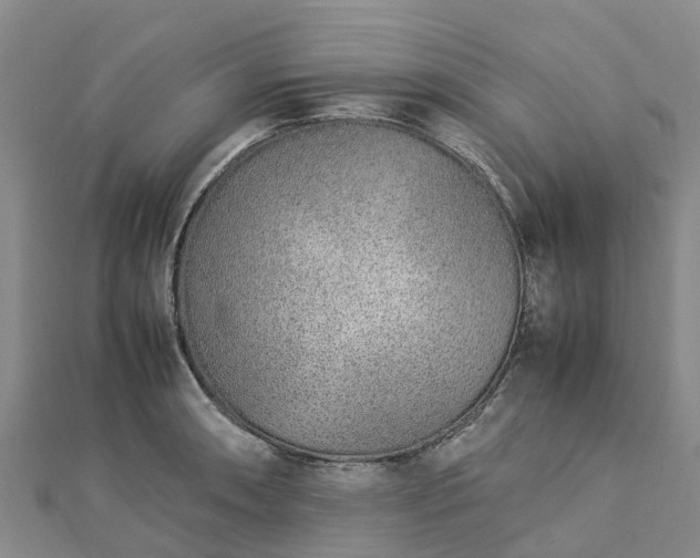 X0000113011090200909031309