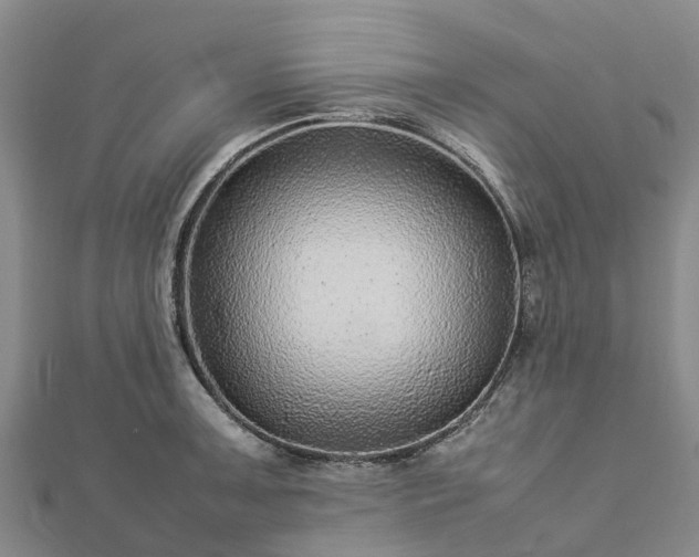 X0000113011091200909031309