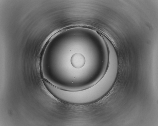 X0000113011092200909031309