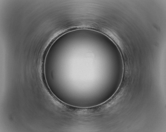 X0000113011093200909031309