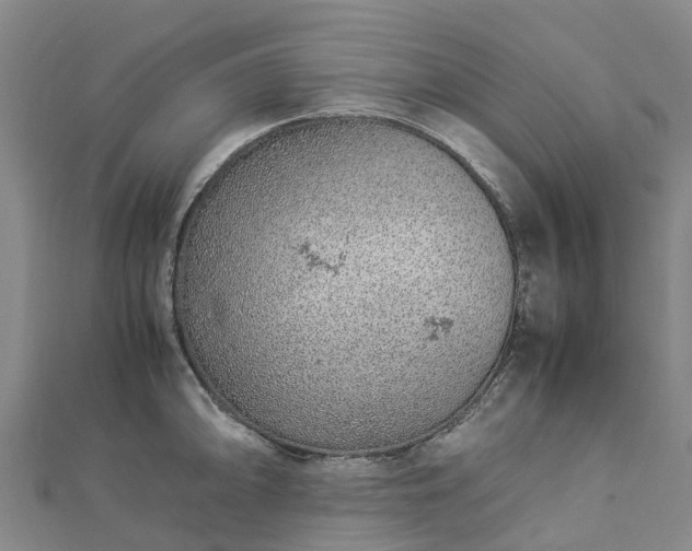 X0000113011094200909031309