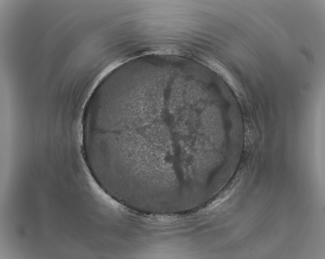 X0000113011095200909031308