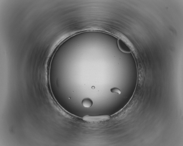 X0000113011096200909031308