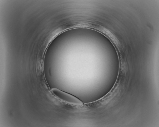 X0000113011097200909031308