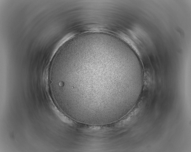 X0000113011098200909031308