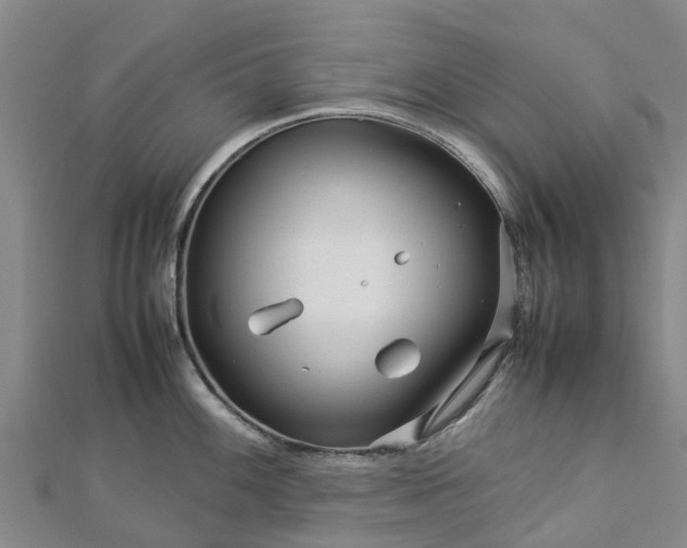 X0000113011100200909031308