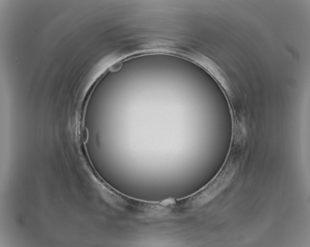 X0000113011101200909031308