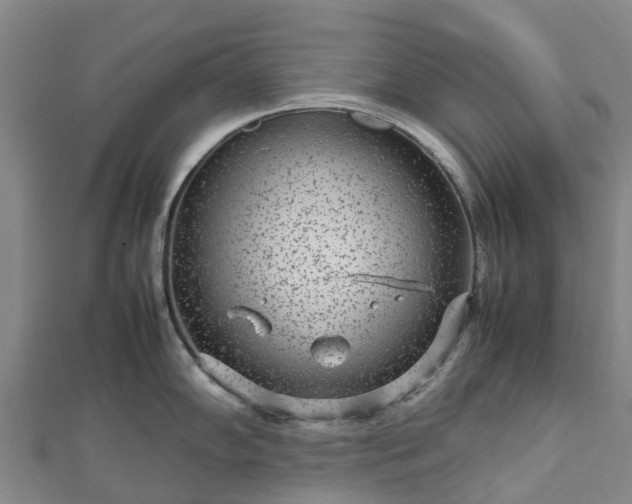 X0000113011102200909031308