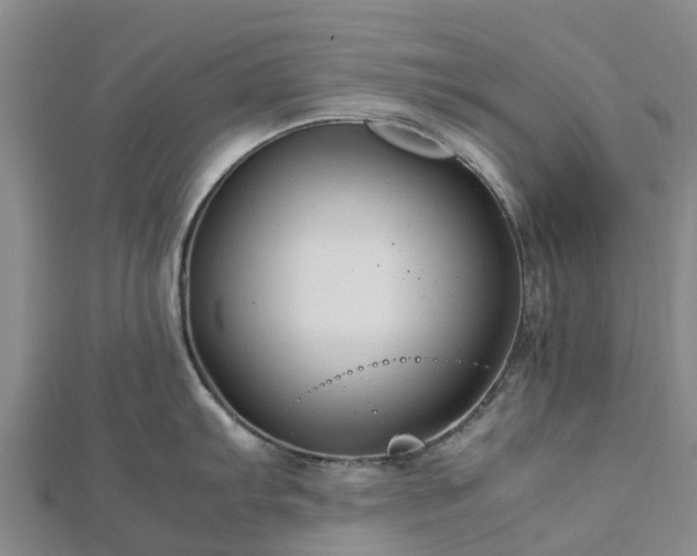 X0000113011103200909031308