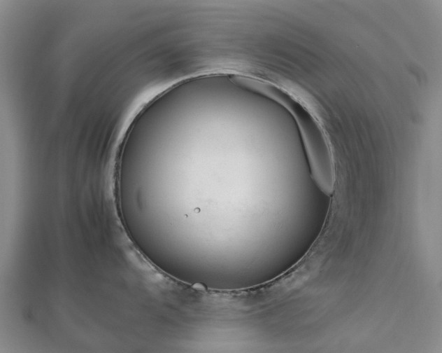 X0000113011104200909031308