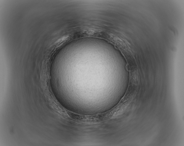 X0000113011105200909031308