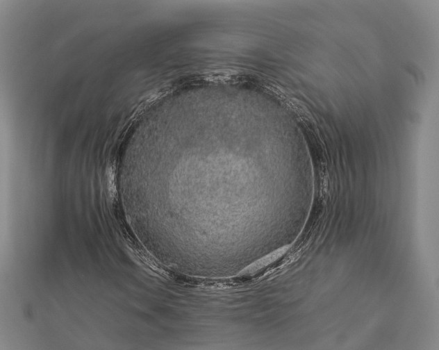 X0000113011106200909031308