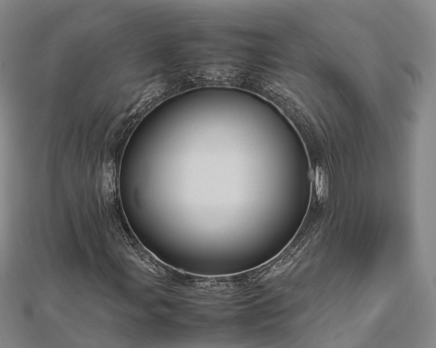 X0000113011107200909031308