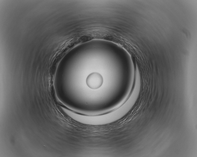 X0000113011108200909031308