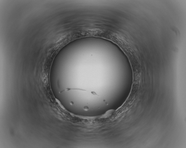 X0000113011109200909031308