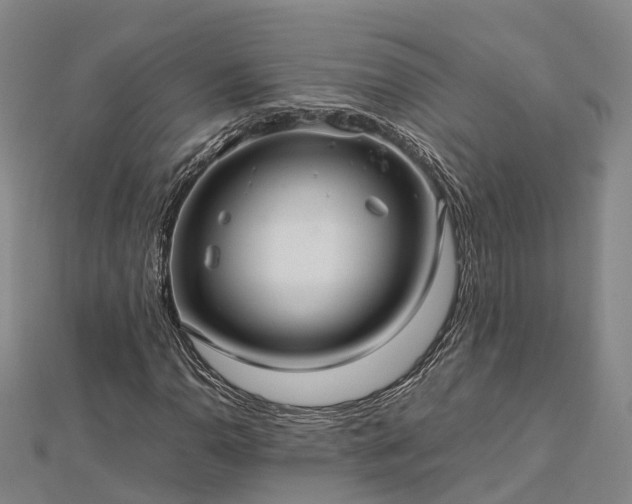 X0000113011110200909031308