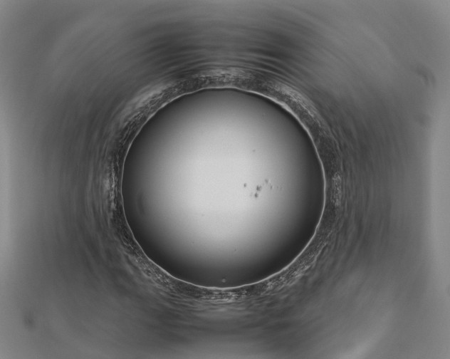 X0000113011111200909031308