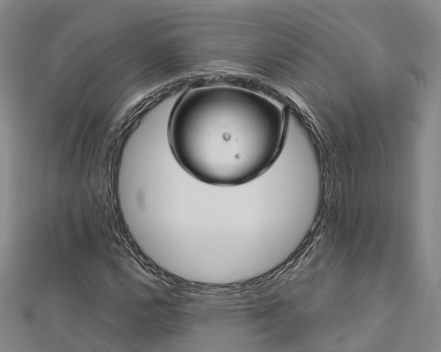 X0000113011112200909031308