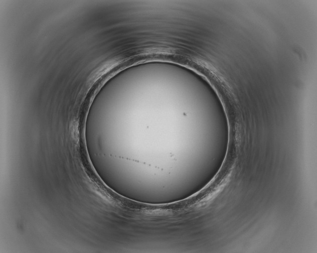 X0000113011113200909031308