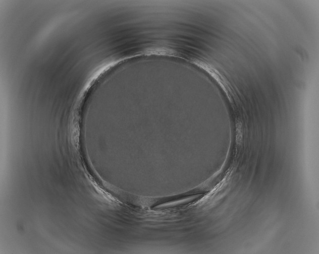 X0000113011115200909031308